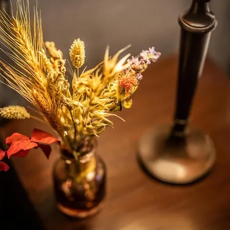 Provence 4* Aarhus
